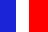 French/English (franc&ccedil;ais-anglais)